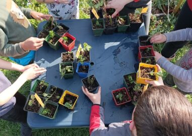 Visites scolaires